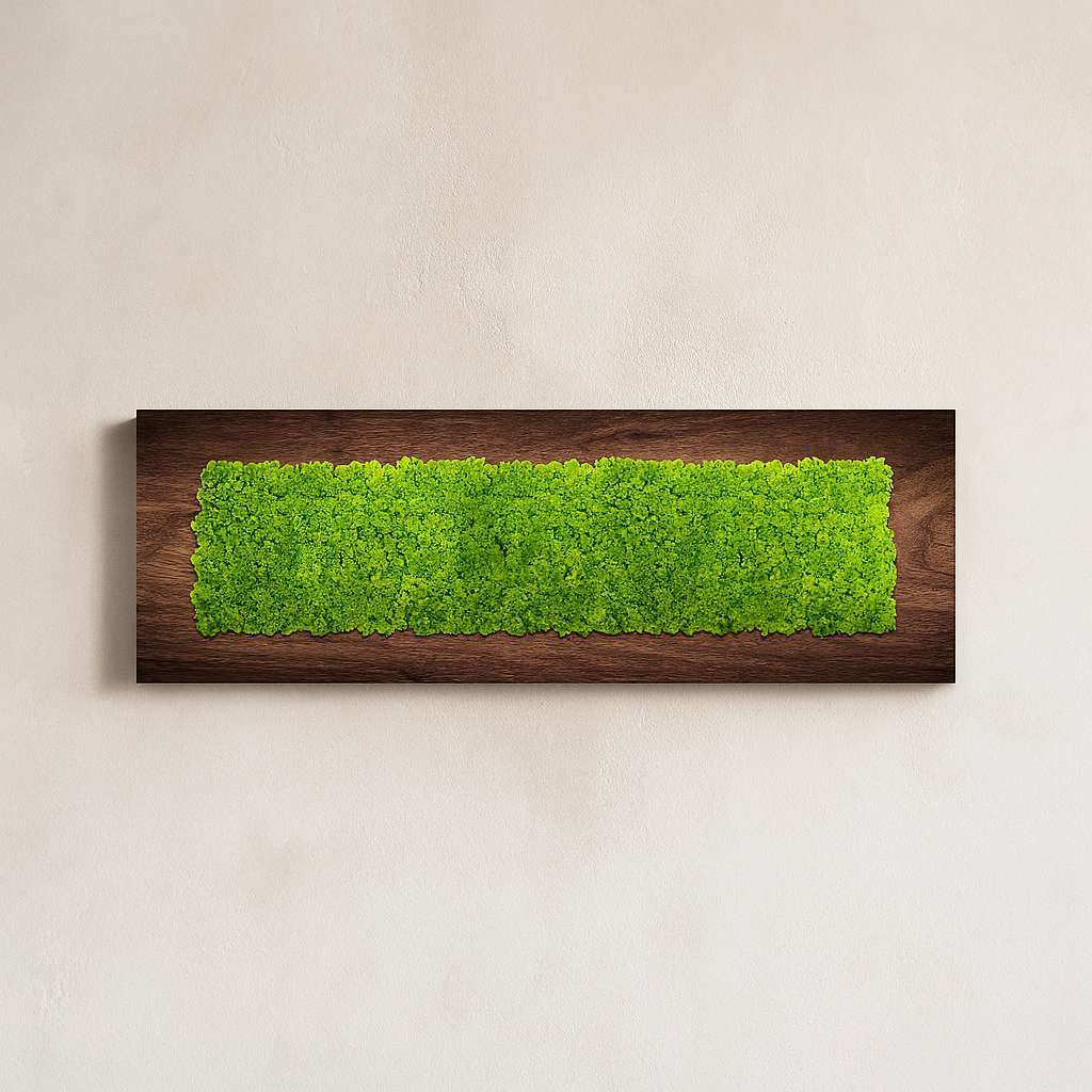 NatureScape Natural Moss Art