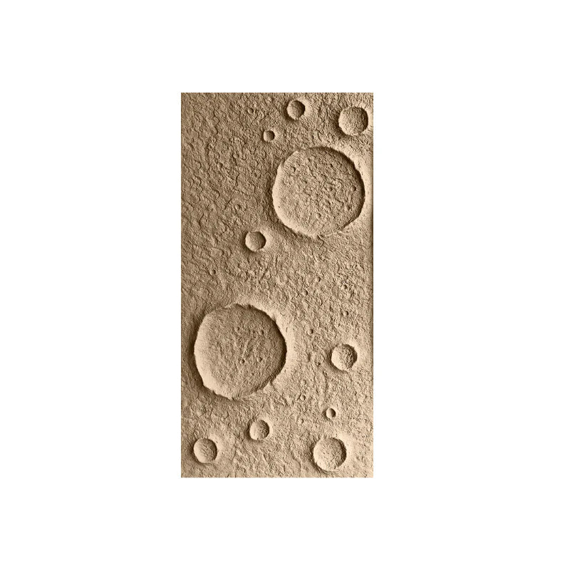Moon Crater Wall Panel