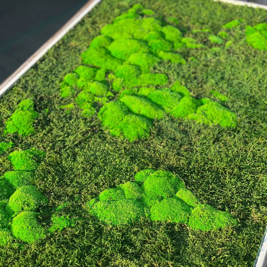 GeoBloom Natural Moss Art