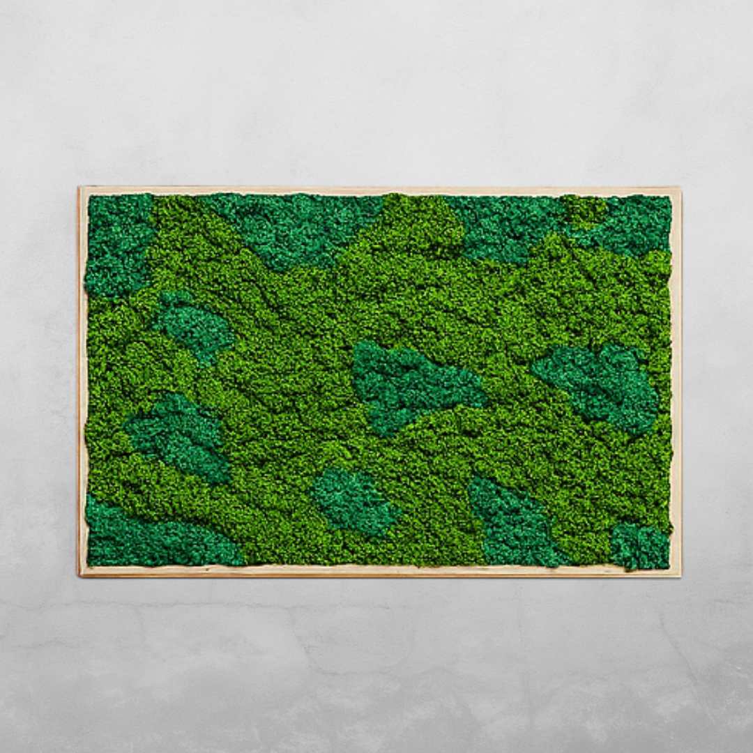 TrioBloom Natural Moss Art