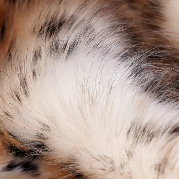 Plush Royal Bengal Faux-Fur Blanket Throw