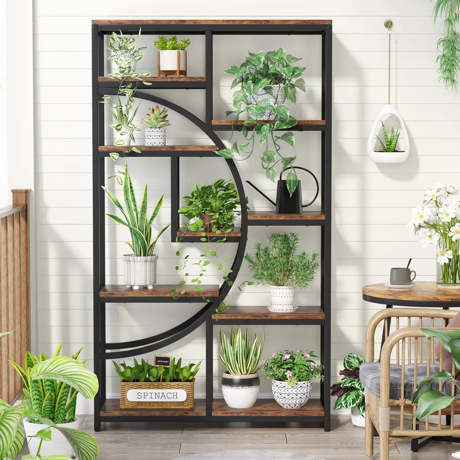 Display & Storage Shelves