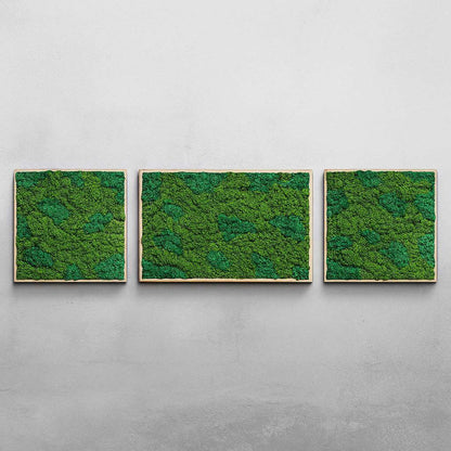 TrioBloom Natural Moss Art
