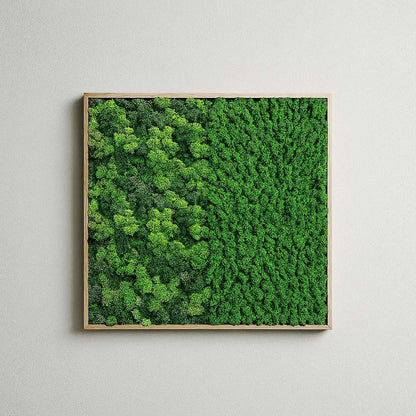Botanical Contrast Natural Moss Art