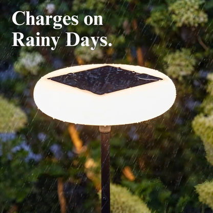 Lumivy Solar Lamp - KaveCore