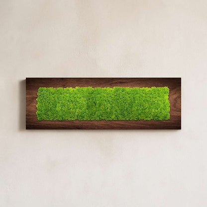 NatureScape Natural Moss Art