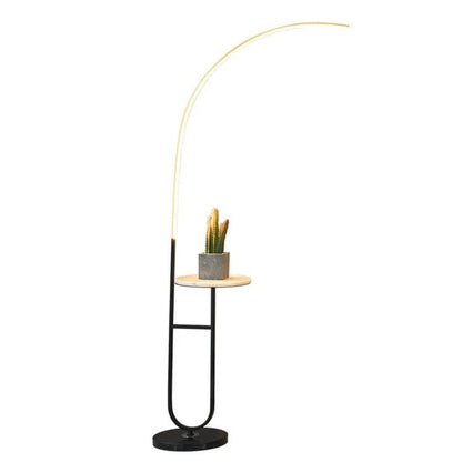 Orris Curve Floor Lamp