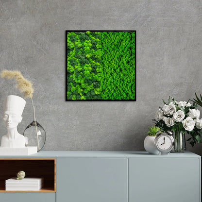 Botanical Contrast Natural Moss Art