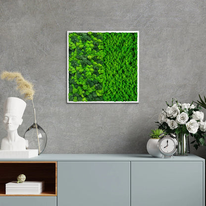 Botanical Contrast Natural Moss Art