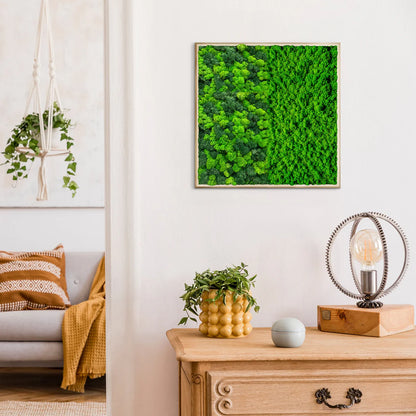 Botanical Contrast Natural Moss Art