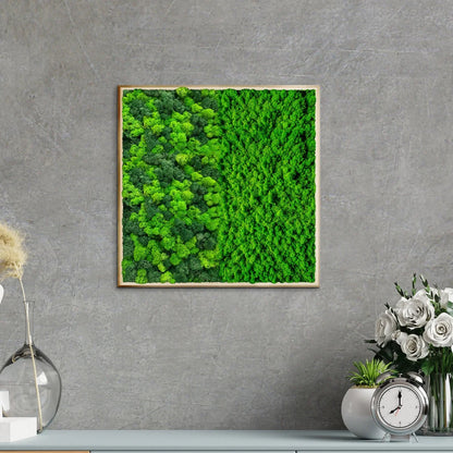 Botanical Contrast Natural Moss Art