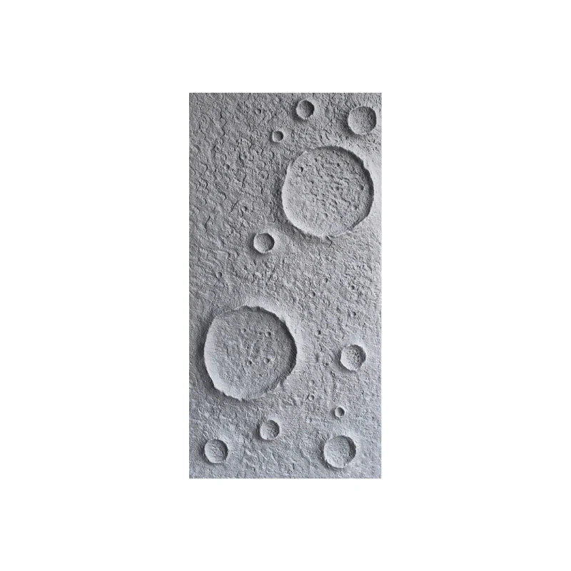 Moon Crater Wall Panel