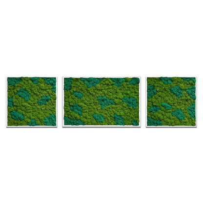 TrioBloom Natural Moss Art