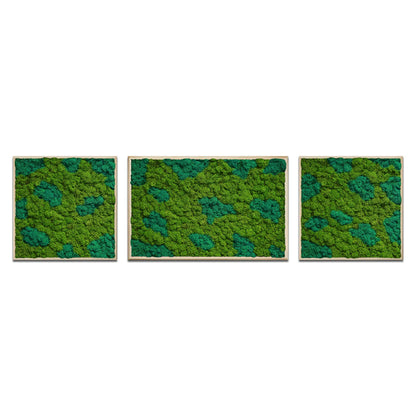 TrioBloom Natural Moss Art