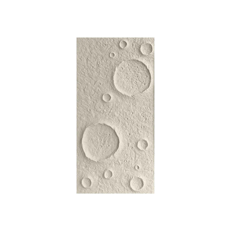 Moon Crater Wall Panel