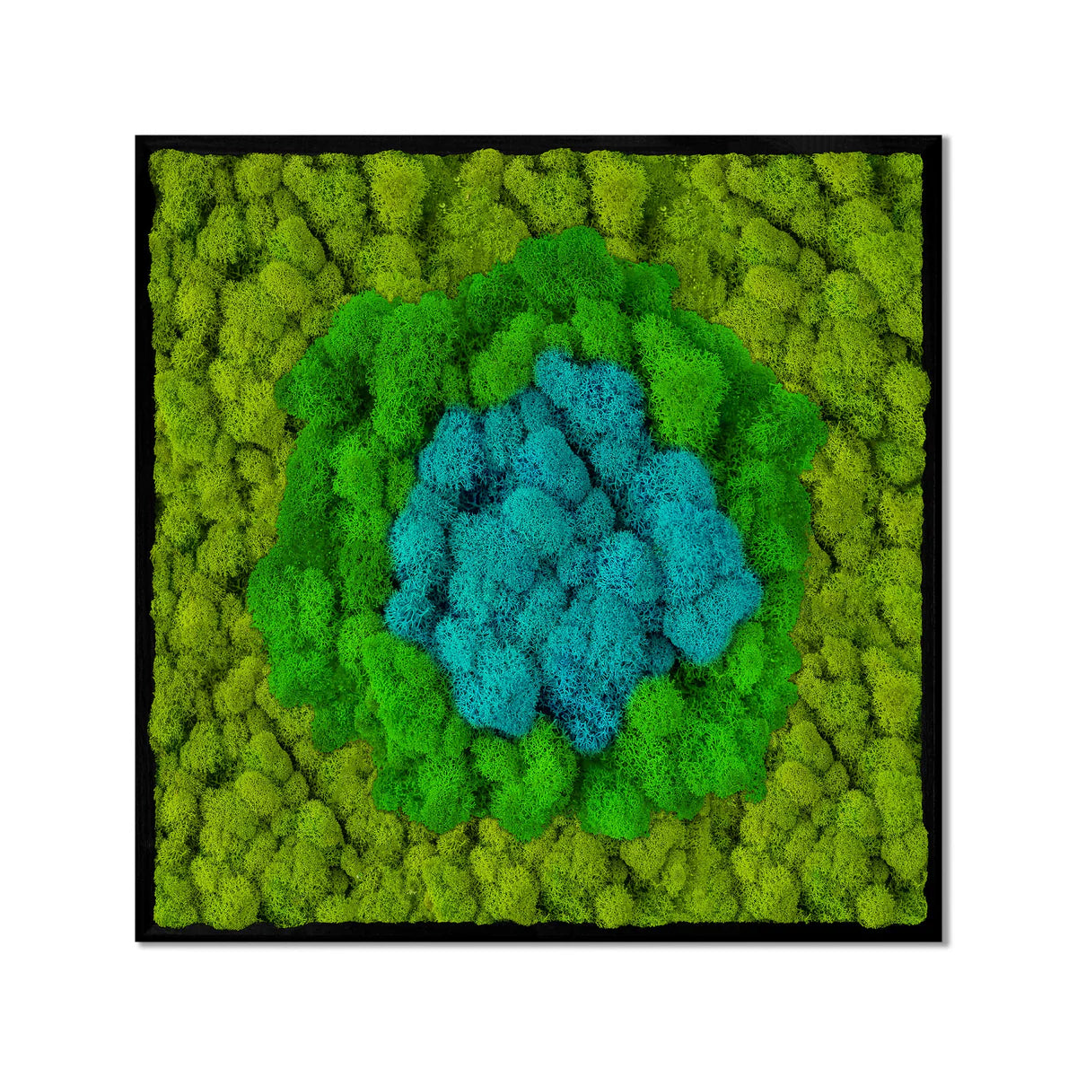 Blue Oasis Natural Moss Art