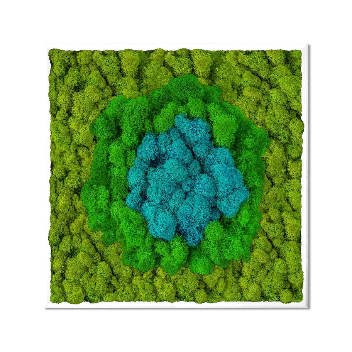 Blue Oasis Natural Moss Art