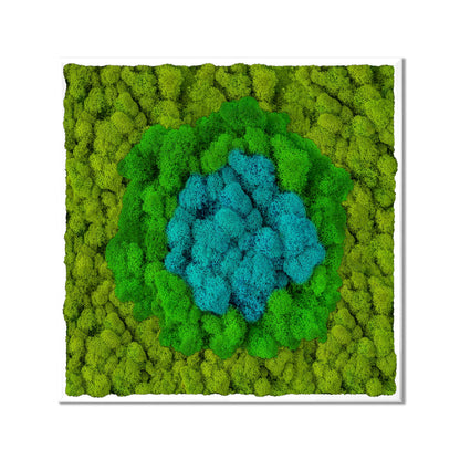 Blue Oasis Natural Moss Art