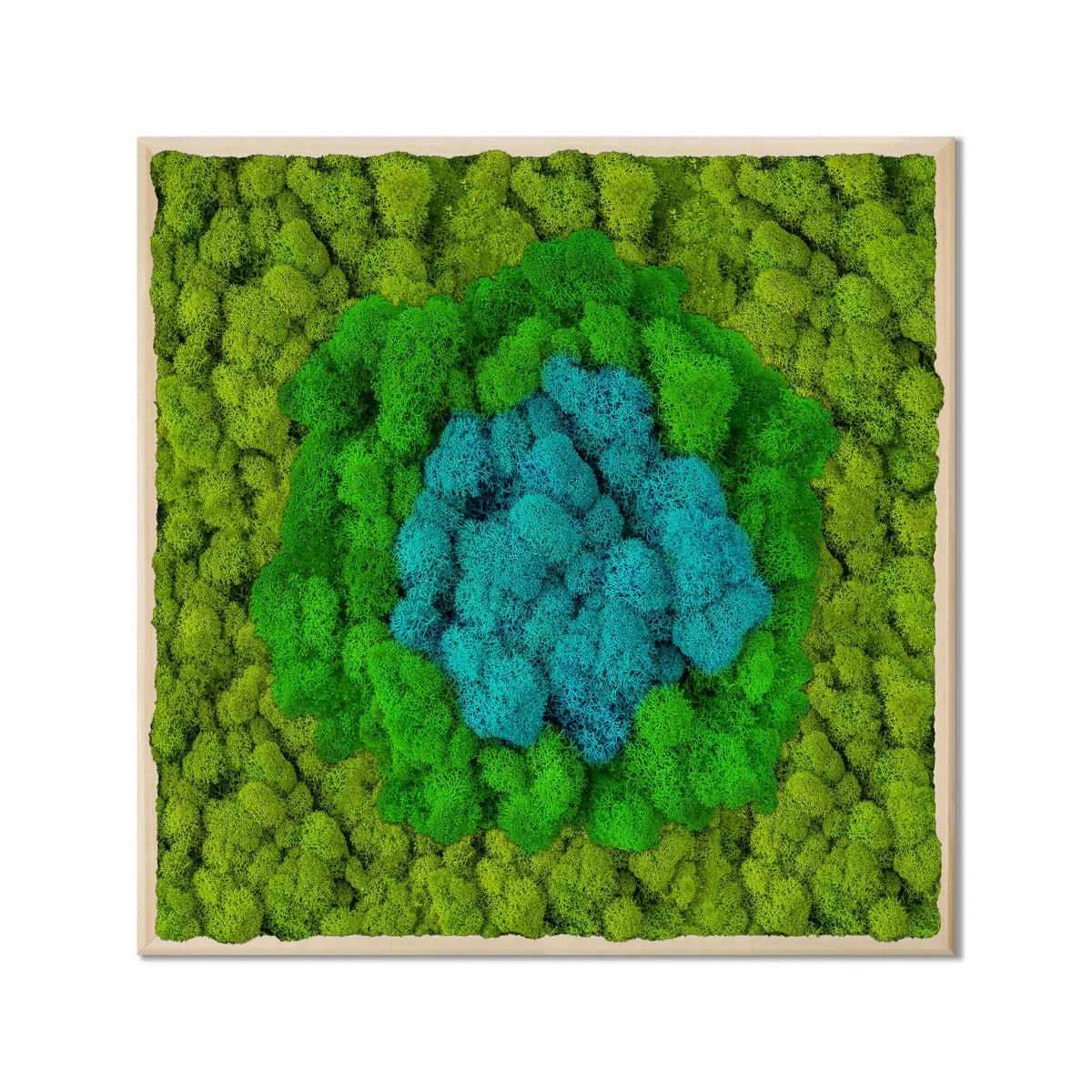 Blue Oasis Natural Moss Art