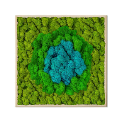 Blue Oasis Natural Moss Art