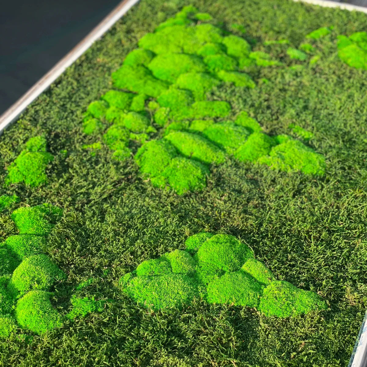 GeoBloom Natural Moss Art