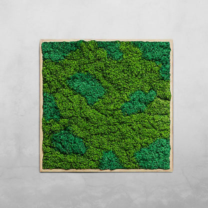 TrioBloom Natural Moss Art