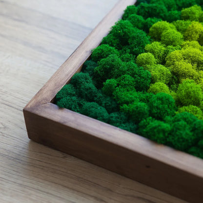 Blue Oasis Natural Moss Art