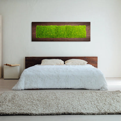 NatureScape Natural Moss Art