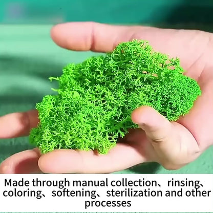 Nordic Green Flow - Natural Moss